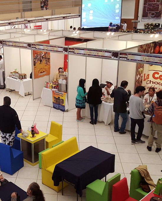 Exposiciones
